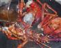 美式大龙虾的做法步骤4