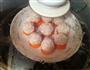 珍珠豆腐丸子的做法图解11