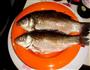 酱爆鲫鱼的做法图解1