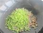 芹菜猪肉夹饼的做法图解8
