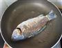 鲫鱼党参汤的做法图解3
