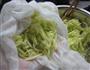 西葫芦猪肉饺子的做法图解5
