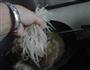 烩酸菜粉的做法图解9