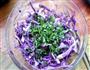 凉拌紫甘蓝的做法图解6