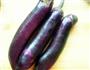 香炸茄子盒的做法图解7