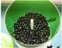 黑豆芽的做法图解5