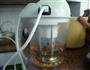 花生豆浆的做法图解4