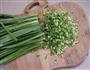 虾皮韭菜盒子的做法图解7
