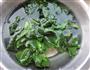 菠菜煎饼的做法图解4