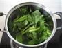 凉拌菠菜的做法图解3