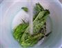 上汤莴笋叶腐竹的做法图解3