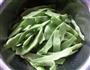排骨压豆角的做法图解1
