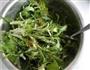 煎饼苦菊卷的做法图解4