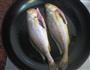 干煎小黄鱼的做法图解3