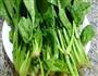 生蒜拌菠菜的做法图解4