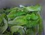 耗油生菜的做法图解1