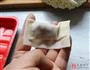 鲜虾云吞面的做法图解5