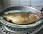 清蒸桂鱼的做法图解5