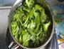 凉拌芹菜叶的做法图解1