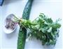 香菜牛肉拌黄瓜的做法图解1