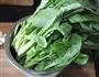 凉拌菠菜的做法图解1