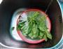 蚝油菠菜粉丝的做法图解2