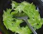 银杏炒莴苣的做法图解4