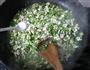 茼蒿豆腐的做法步骤15