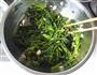 凉拌菠菜的做法图解7