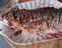 烤鱼的做法图解3