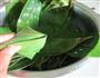 糯米绿豆粽子的做法图解8