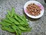 花生米炒荷兰豆的做法图解1