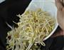干煸黄豆芽的做法图解6