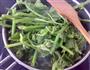 生炒南瓜苗的做法步骤6