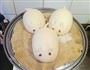 肥鼠豆沙包的做法图解21