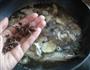 鲅鱼豆腐火锅的做法图解9