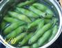 水煮蚕豆的做法图解4