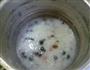 咸肉皮蛋大米粥的做法步骤10