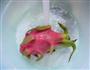 酸奶火龙果的做法图解2