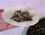 马齿苋菜干鲜肉水饺的做法图解15