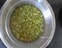 发豆芽的做法图解4