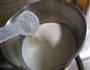 木瓜奶冻的做法图解6