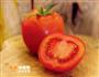 番茄汁的做法图解1