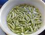 凉拌毛豆的做法图解1