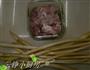 蒜香藕尖炒肉的做法图解1