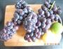 葡萄酱的做法图解1