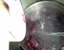 蓝莓酱的做法图解7