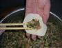 大白菜猪肉虾饺的做法图解23
