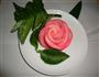 怒放的玫瑰的做法图解10
