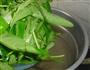 凉拌空心菜的做法图解3